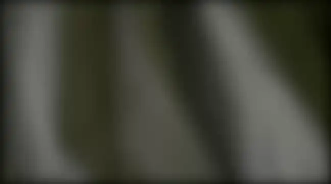 YoungHairyBi online show from February 2025 08:42:02 AM