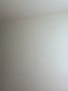 mikuru hara online show from April 2026 08:50:01 PM