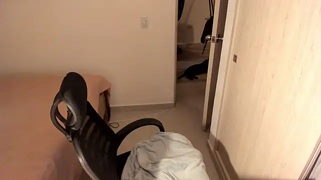 misstoya online show from July 2026 12:53:02 PM