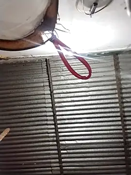 Andreita 95 online show from March 2026 11:04:02 AM