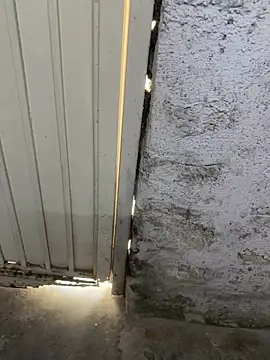 elber-gdo online show from October 2025 05:57:01 PM