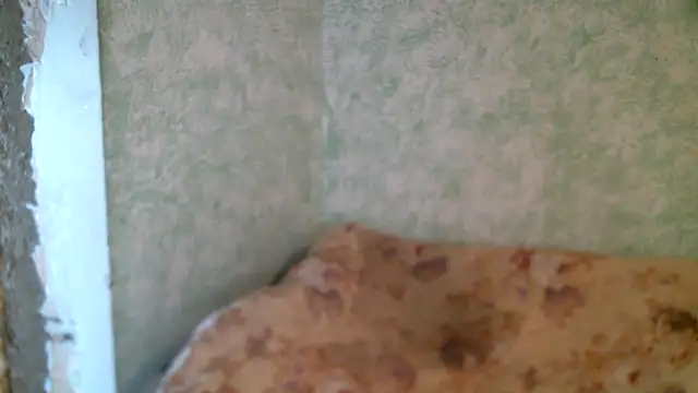 DennisXCaroll online show from April 2026 10:14:02 AM