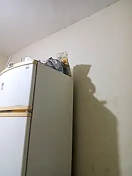 Snapshot of alk42 chatting on February 2025 03:59:01 AM alk42 online show from February 2025 03:59:01 AM