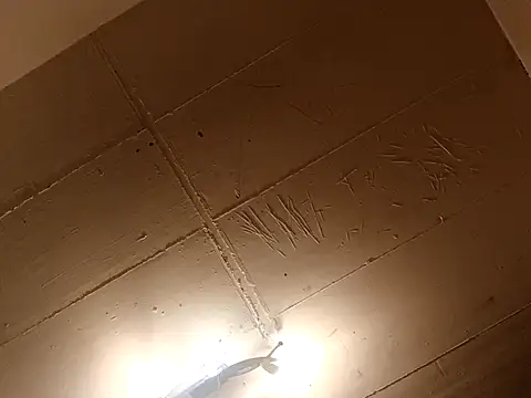 Timbojan28 online show from March 2026 11:48:01 PM