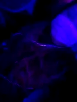 Hotpussy3ox online show from February 2026 11:03:02 PM