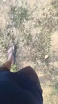 lustboyX online show from April 2026 02:31:01 AM