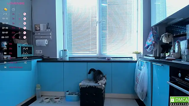 wwildfox online show from March 2026 05:44:01 AM