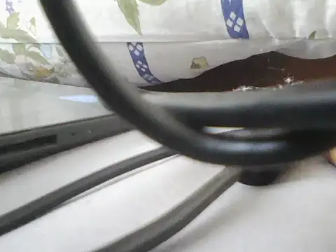 lickthehottie online show from July 2026 05:05:02 AM