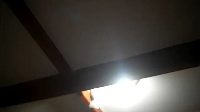 Bellis Perenis online show from February 2026 09:09:02 AM