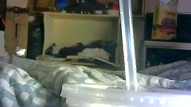 DI4MOND FIR3 online show from April 2026 02:53:02 PM