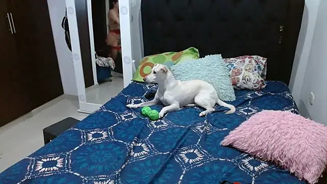 amazonafit  online show from February 2025 04:14:02 AM