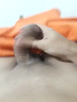 lm279 online show from February 2026 03:39:01 PM