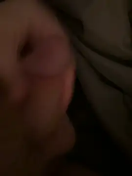 bama md08 online show from April 2026 08:24:01 AM