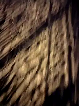 Sperma-V-rotik online show from December 2024 02:56:02 AM