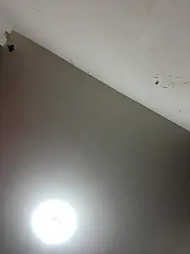 Snapshot of _NINA chatting on January 2026 07:33:02 AM NINA online show from January 2026 07:33:02 AM