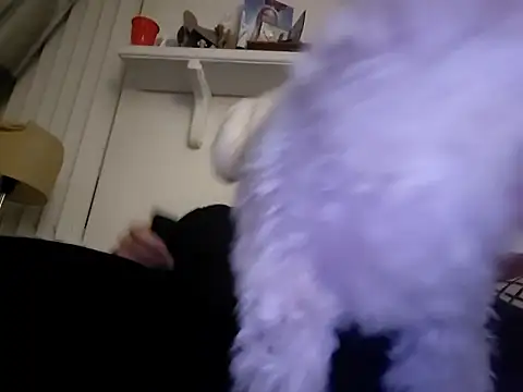 Snapshot of Hand69someguy chatting on January 2026 06:37:02 AM Hand69someguy online show from January 2026 06:37:02 AM