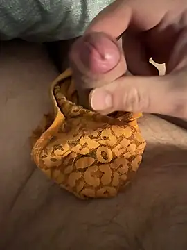 Voyeurpervert69 online show from February 2026 10:06:01 PM