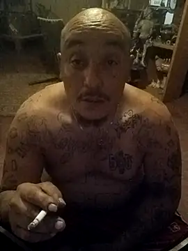 wilsons12 online show from March 2026 08:19:01 AM