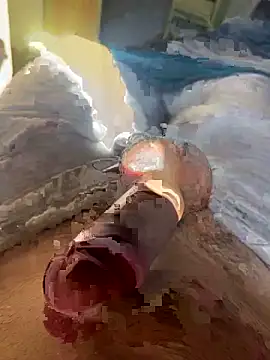 Snapshot of toto36643 chatting on February 2026 10:23:01 AM toto36643 online show from February 2026 10:23:01 AM