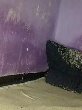 Sexy king4 online show from June 2026 03:23:02 AM