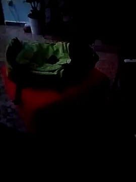 minitranca online show from February 2026 09:58:01 PM