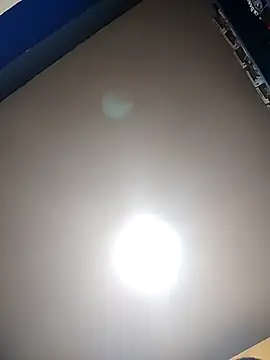 minitranca online show from April 2026 12:31:01 AM