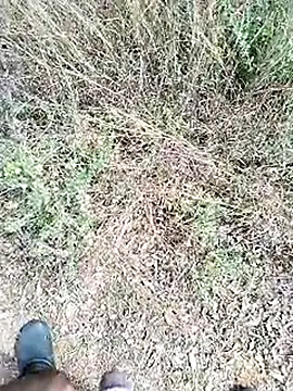 Mrveda66 online show from February 2026 06:11:01 AM