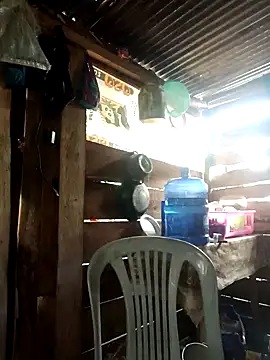 Huebolocko online show from January 2025 03:57:01 PM