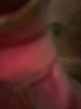 A-mira online show from March 2026 08:15:01 PM