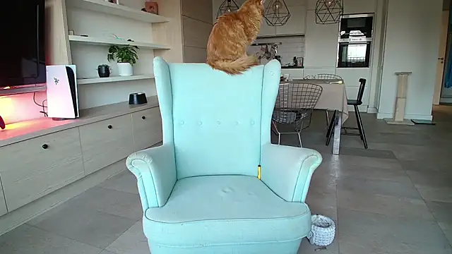 Kotis Foxy online show from October 2025 02:58:02 PM