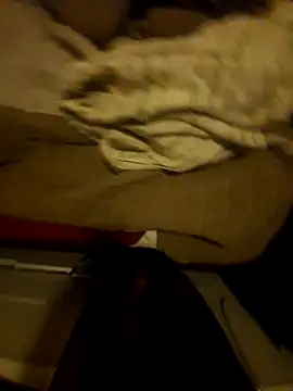 the666D online show from March 2026 03:06:02 AM