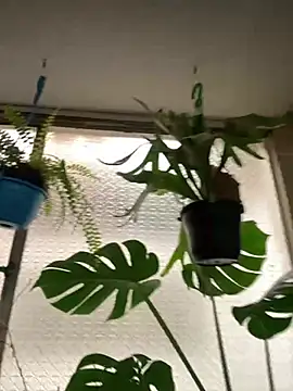 Miss oliviaa online show from March 2026 06:02:01 PM