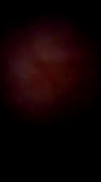 Snapshot of garchapatagonica chatting on December 2024 04:44:02 AM garchapatagonica online show from December 2024 04:44:02 AM