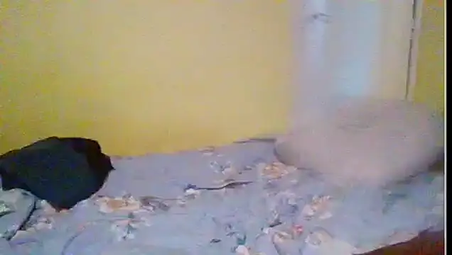 Regularfucker28 online show from April 2026 05:37:01 PM