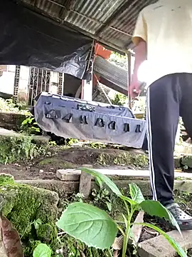 Jestebanano online show from March 2026 04:13:02 PM