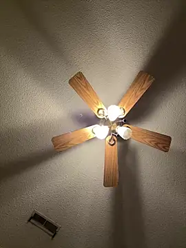 torilux online show from February 2025 11:34:02 PM