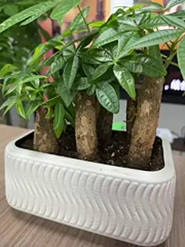 wiktor1980 online show from April 2026 06:51:01 AM