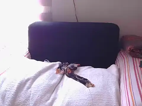 Snapshot of Mollybrookexx chatting on December 2024 08:04:01 AM Mollybrookexx online show from December 2024 08:04:01 AM