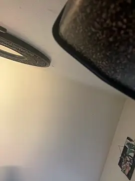 Snapshot of PEGATIVET chatting on February 2026 09:47:02 PM PEGATIVET online show from February 2026 09:47:02 PM