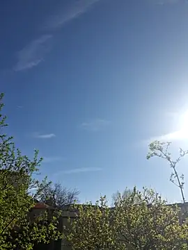 CeriseLapine online show from March 2026 07:41:02 AM