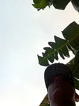 tayson  online show from January 2025 11:52:01 AM