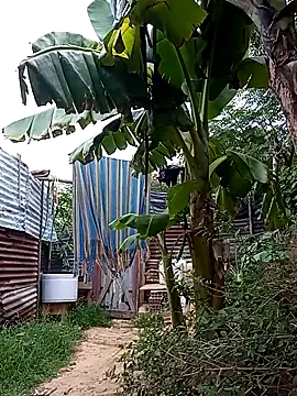 tayson  online show from March 2025 11:34:02 AM