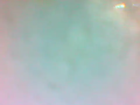 TheDoggyAss online show from April 2026 09:50:02 PM