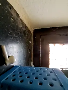 hot telugu dickK07 online show from December 2024 07:37:01 AM