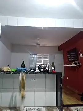 Snapshot of VibratedPoaching chatting on March 2026 01:59:01 PM VibratedPoaching online show from March 2026 01:59:01 PM