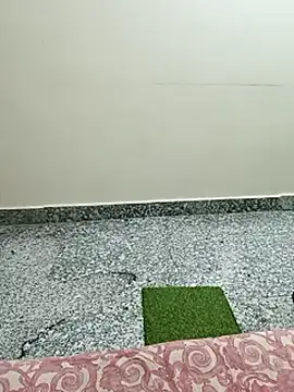 Saroj-Shah online show from March 2026 05:07:02 PM