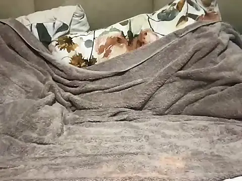 pe netrad0r online show from March 2026 02:22:01 AM