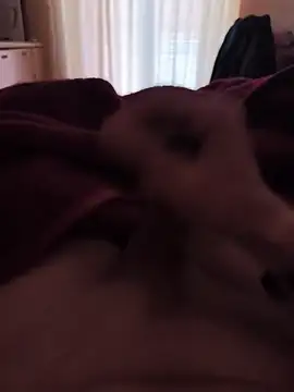 mirrowhot online show from March 2026 07:34:01 AM