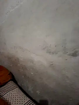 menakshiiikaur online show from December 2024 01:40:02 PM