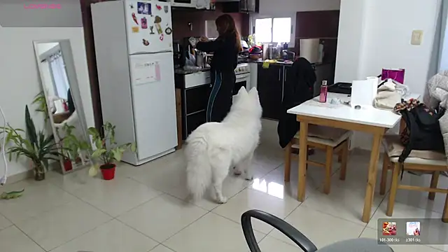 bunnylolaa4 online show from July 2026 07:53:02 PM